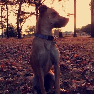 Meet your Posher, Marissa